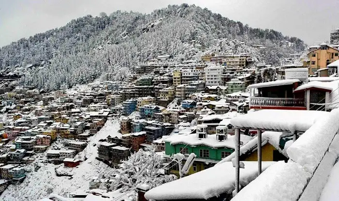 Shimla-DP